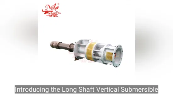 Fcdl Vertical Long Shaft Centrifugal Multi-Stage Pump for Industrial Water Supply and Drainage (VS1)